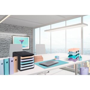 Durable 3094296D Ящик с ящиками Big Box Plus 5 отделений акварель
