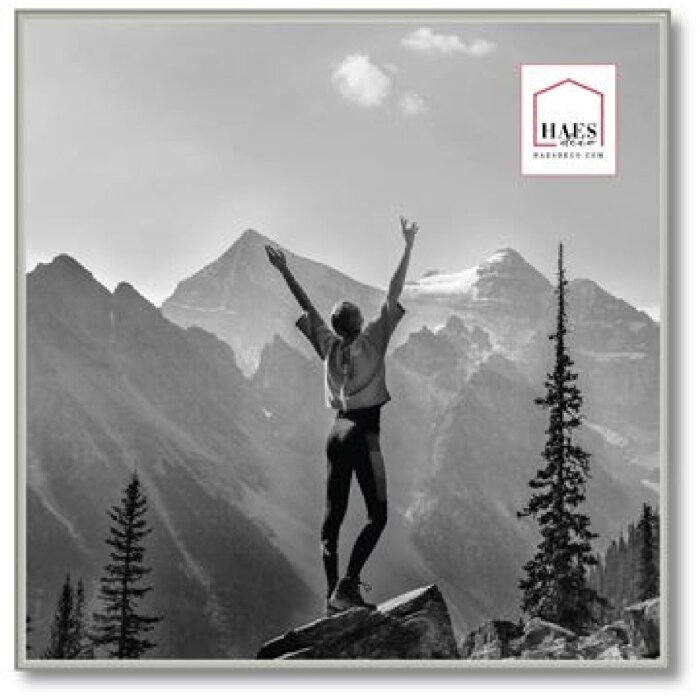 Haes Deco EF18S Easy Frame Пластиковая рамка серебристая 50x50 см