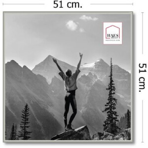 Haes Deco EF18S Easy Frame Пластиковая рамка серебристая 50x50 см