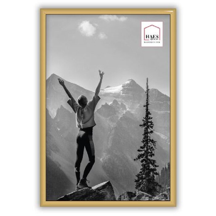 Пластикова фоторамка Haes Deco EF4G Easy Frame Gold 20x30 см