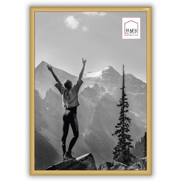 Пластиковая рамка Haes Deco EF11G Easy Frame Gold A4 21x29,7 см