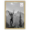 Пластиковая рамка Haes Deco EF11G Easy Frame Gold A4 21x29,7 см