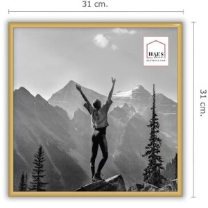 Haes Deco EF13G Easy Frame Gold Пластиковая рамка 30x30 см