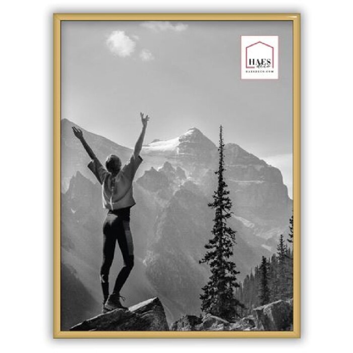 Пластикова фоторамка Haes Deco Easy Frame Gold 30x40 см