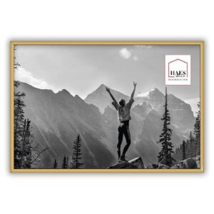 Пластиковая фоторамка Haes Deco EF6G Easy Frame Gold 30x45 см формат портрет-ландшафт