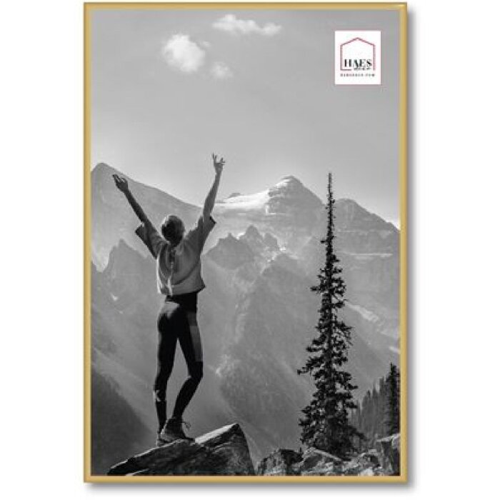 Пластикова фоторамка Haes Deco EF9G Easy Frame Gold 40x60 см МДФ задня панель