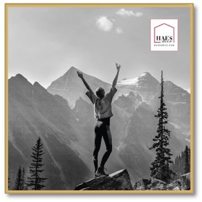 Haes Deco Easy Frame пластиковая фоторамка золото 50x50 см