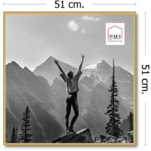 Haes Deco Easy Frame пластиковая фоторамка золото 50x50 см