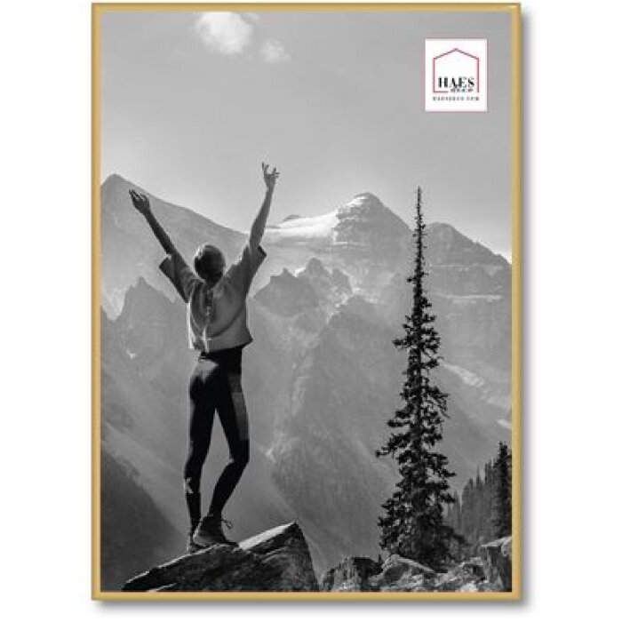 Пластикова фоторамка Haes Deco EF8G Easy Frame Gold 50x70 см для настінного кріплення