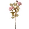 Clayre & Eef 6PL0328P Украшение Ветка с цветами розовая 9x9x68 см