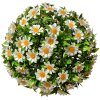 Clayre & Eef 6PL0324M Декоративный шар искусственный цветок маргаритка Ø 22 см