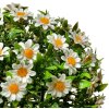 Clayre & Eef 6PL0324M Декоративный шар искусственный цветок маргаритка Ø 22 см