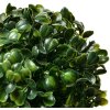 Clayre & Eef 6PL0325XS Декоративний кулястий самшит Ø 12 см зелений
