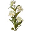 Clayre & Eef 6PL0344W Декоративная ветка Цветы бело-зеленые 17x14x70 см