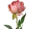 Clayre & Eef 6PL0366P Искусственный цветок роза 8x8x62 см