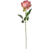 Clayre & Eef 6PL0366P Искусственный цветок роза 8x8x62 см