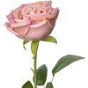 Clayre & Eef 6PL0369P Искусственный цветок роза 9x9x61 см