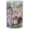 Скарбничка Clayre & Eef 6BL0169 Скарбничка в стилі кантрі, мотив кота Ø 8x13 см