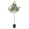 Clayre & Eef 5PL0149 Декоративное дерево зеленое 20x20x90 см пластик