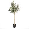 Clayre & Eef 5PL0149 Декоративное дерево зеленое 20x20x90 см пластик