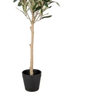 Clayre & Eef 5PL0150 Декоративное дерево зеленое 15x15x70 см