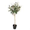 Clayre & Eef 5PL0150 Декоративное дерево зеленое 15x15x70 см