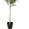 Clayre & Eef 5PL0150 Декоративное дерево зеленое 15x15x70 см