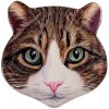 Clayre & Eef 6CE2065 Килимок для посуду Кішка керамічний коричневий 20x20 см Заміський будинок