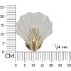 Mauro Ferretti Shell настінний світильник E14 золотий натуральний 20x14x22 см