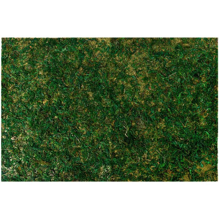 Clayre & Eef 66121 Моховой коврик 60x40x1 см Пышный зеленый пластиковый декор