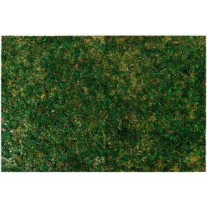 Clayre & Eef 66121 Моховой коврик 60x40x1 см Пышный...