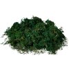 Clayre & Eef 66109 Килимок з моху зелений 40x30x1 см Різдвяна прикраса для рукоділля