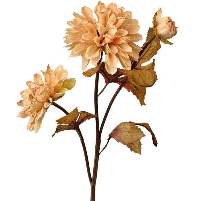 Clayre & Eef 6PL0387BE Искусственный цветок бежево-коричневый 10x10x66 см