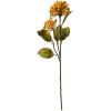 Clayre & Eef 6PL0386Y Искусственный цветок желто-зеленый 8x7x53 см пластик