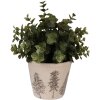 Декоративный горшок для цветов Clayre & Eef Ø 12x11 см