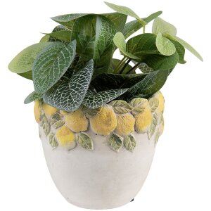 Clayre & Eef 6TE0571 Квітковий горщик...