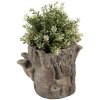 Квітковий горщик Clayre & Eef 6TE0577M 24x18x18 см коричнево-бежевий