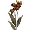 Clayre & Eef 6PL0403BR Декоративная ветка с цветами 60 см