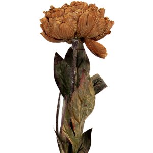Clayre & Eef 6PL0405BR Штучна квітка 10x10x65 см коричнево-зелена