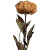 Clayre & Eef 6PL0405Y Искусственный цветок 10x10x65 см Желто-зеленый