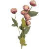 Clayre & Eef 6PL0409P Декоративная ветка с цветами 63 см