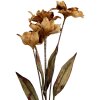 Clayre & Eef 6PL0403LCH Декоративная ветка с цветами 8x5x60 см
