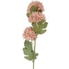 Clayre & Eef 6PL0397P Декоративна гілка з квітами 10x8x64 см Рожева