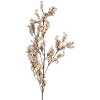 Clayre & Eef 5PL0200W Штучна квітка 10х8х104 см Біло-коричнева