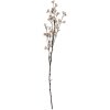 Clayre & Eef 5PL0202LP Штучна квітка Рожева & Коричнева 8х8х110 см