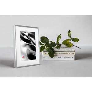 FramesFactory Алюмінієва фоторамка 15x21 см срібна