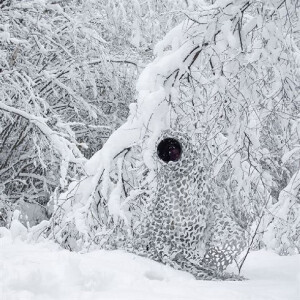 Buteo Photo Gear 3D-листя Маскувальна сітка Камуфляж Сніг 1,5x3 м