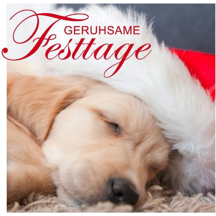 Artebene Minikarte schlafender Hund weihnachtlich weiß klein