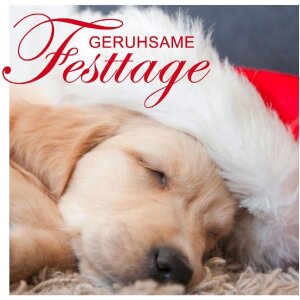 Minikarte schlafender Hund