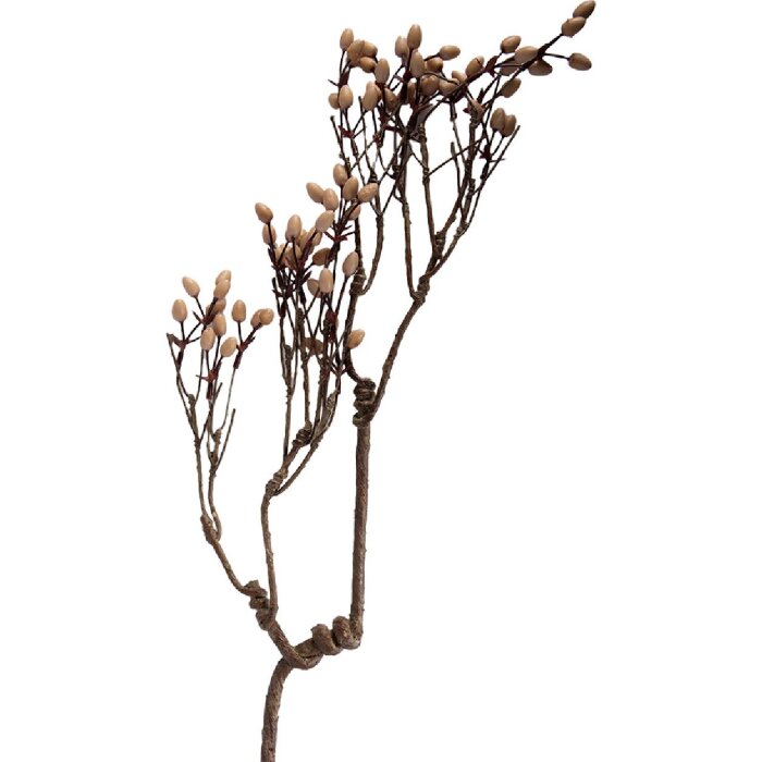 Декоративна гілка Clayre & Eef, натуральні коричневі відтінки, 30x4x85 см